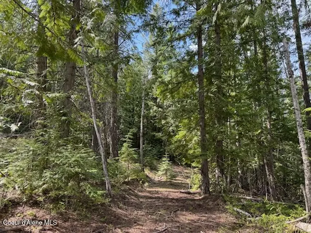 Nna Raven Ridge Road Sandpoint ID 83864