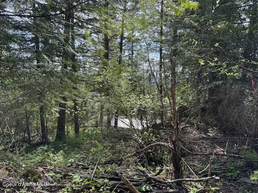 Nna Raven Ridge Road Sandpoint ID 83864