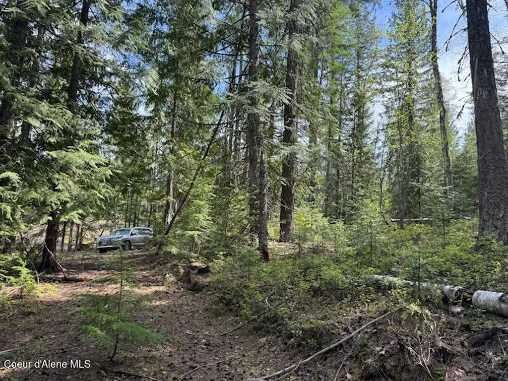 Nna Raven Ridge Road Sandpoint ID 83864