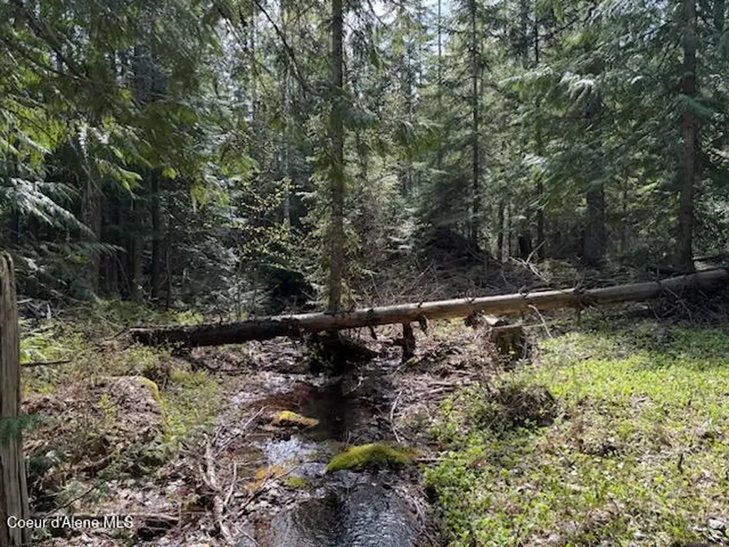 Nna Raven Ridge Road Sandpoint ID 83864