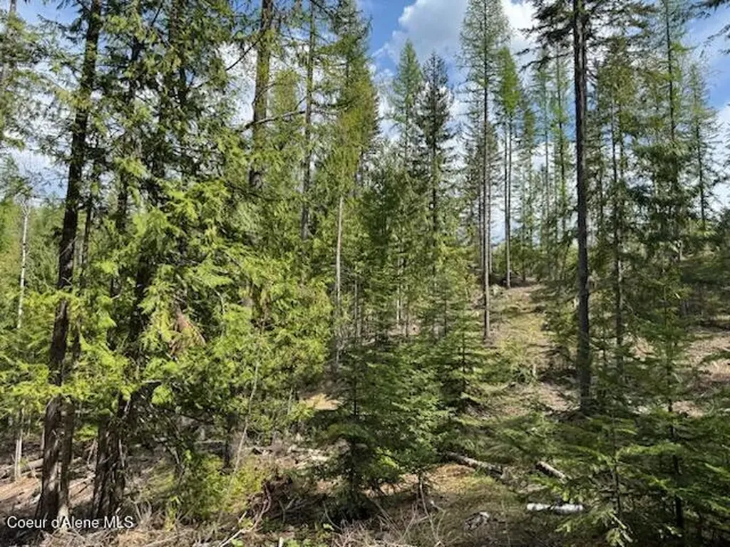 Nna Raven Ridge Road Sandpoint ID 83864