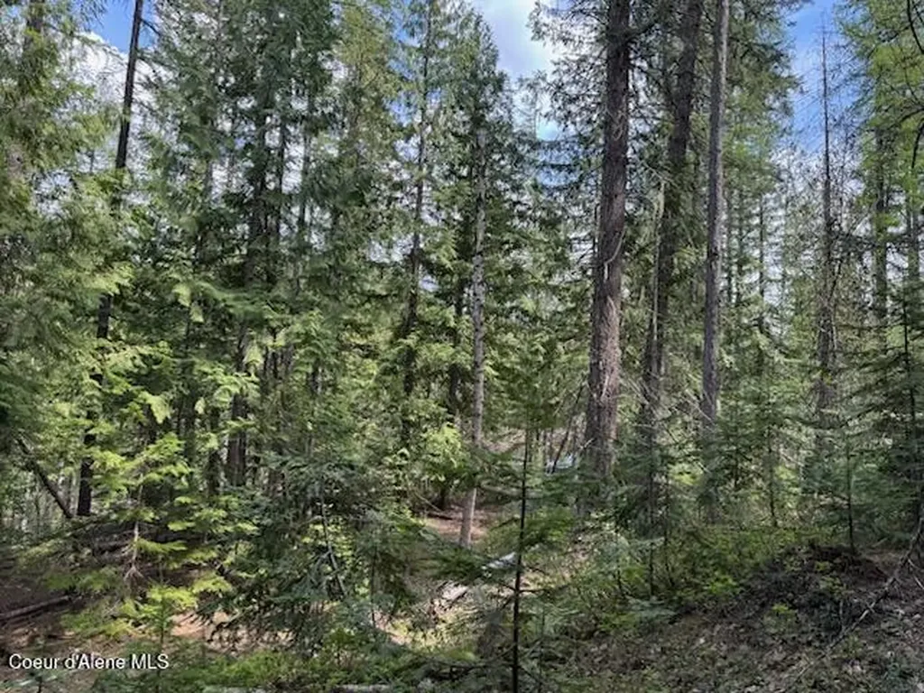 Nna Raven Ridge Road Sandpoint ID 83864