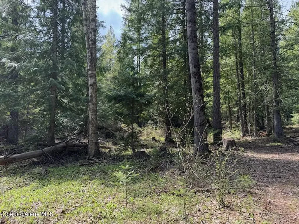 Nna Raven Ridge Road Sandpoint ID 83864