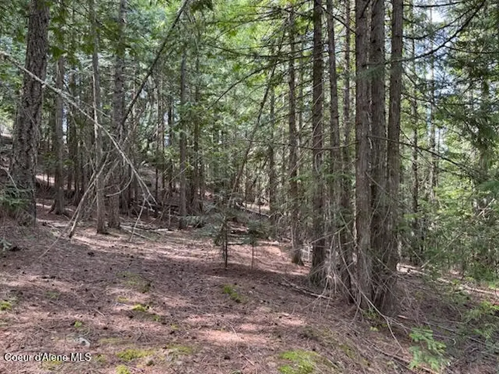 Nna Raven Ridge Road Sandpoint ID 83864