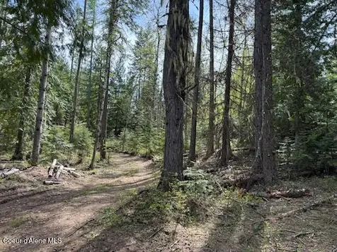 NNA Raven Ridge Road Sandpoint ID 83864