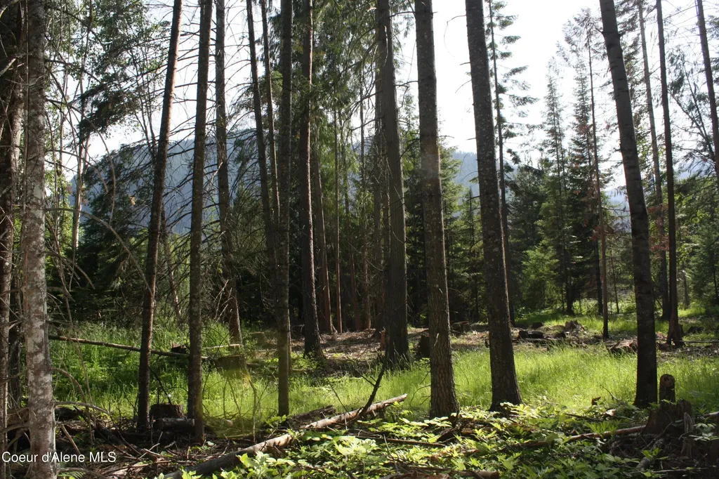 Nka River Lake Drive Clark Fork ID 83811
