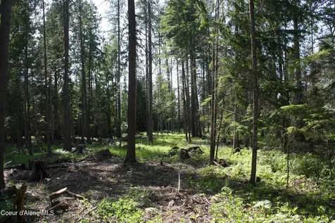 NKA River Lake Drive Clark Fork ID 83811