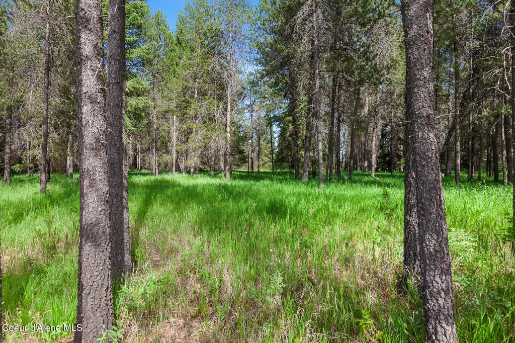 Nka W Camrose Lane Rathdrum ID 83858