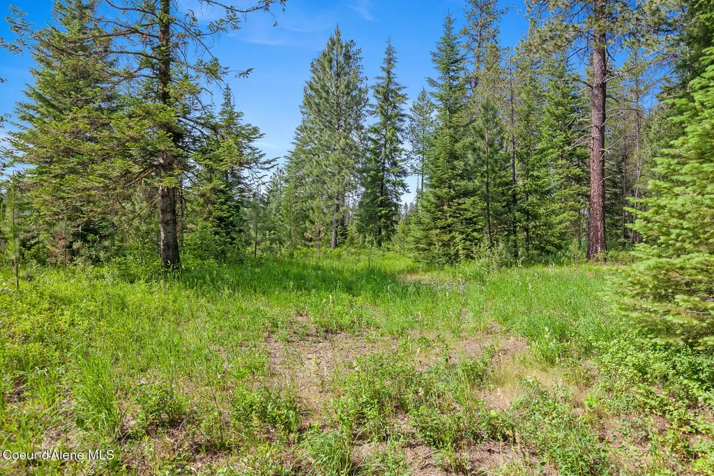 Nka W Camrose Lane Rathdrum ID 83858
