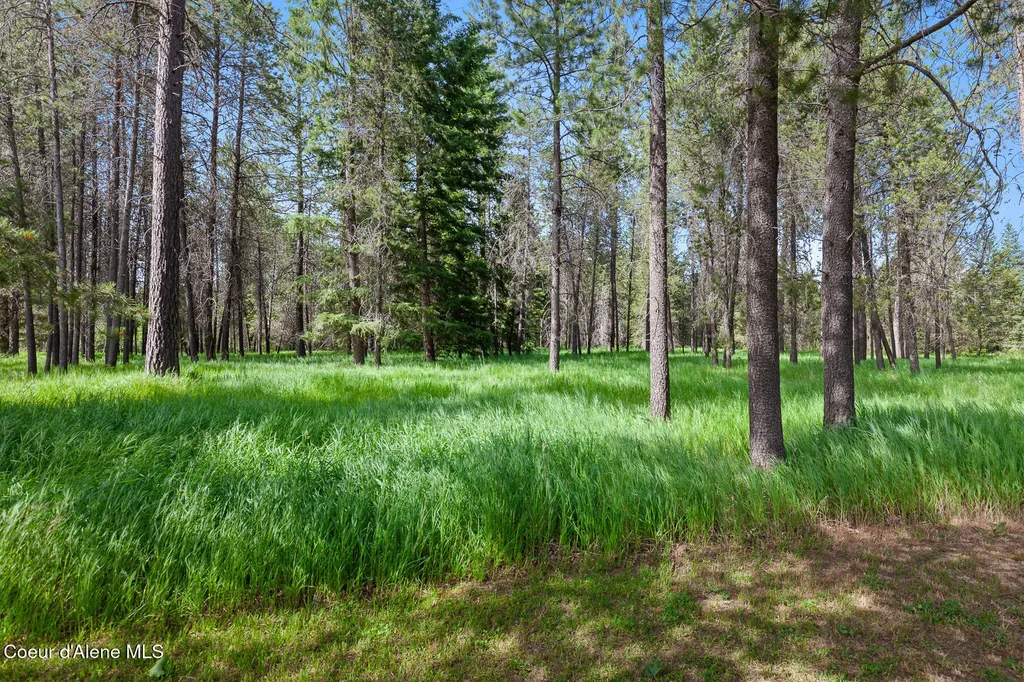 Nka W Camrose Lane Rathdrum ID 83858