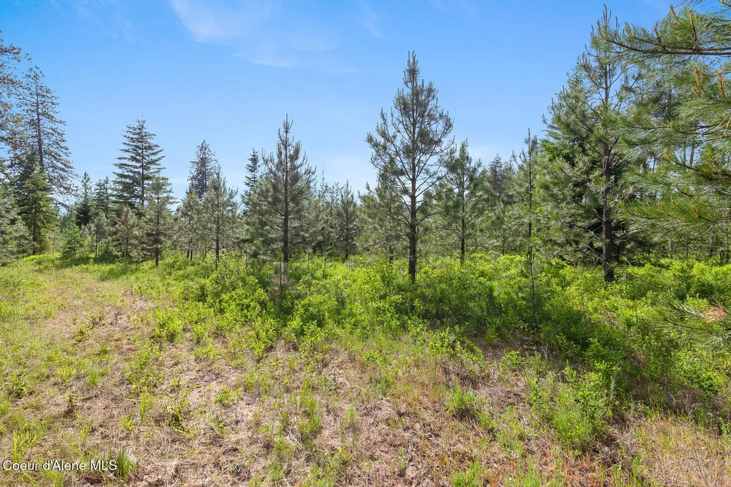 Nka W Camrose Lane Rathdrum ID 83858