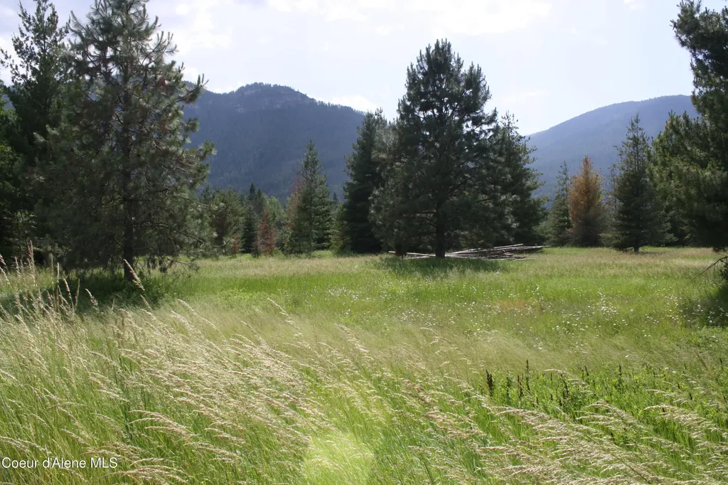 Nka River Lake Drive Clark Fork ID 83811