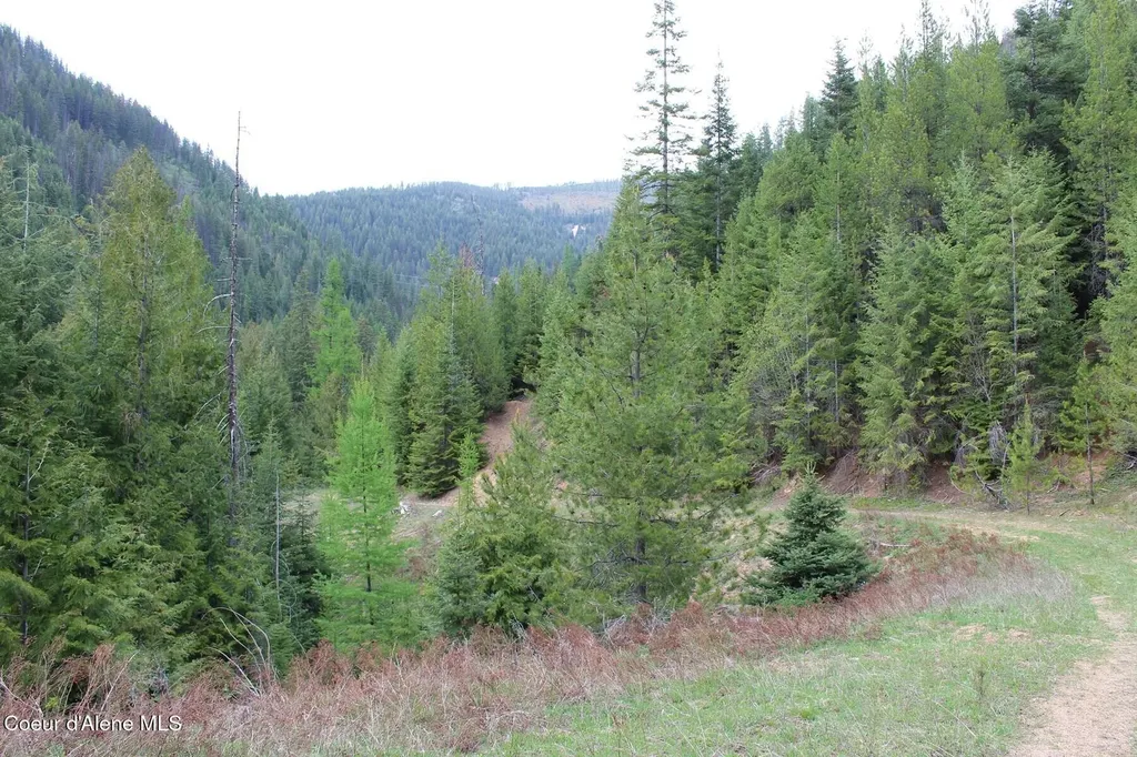 19A Daisy Gulch Road Mullan ID 83846