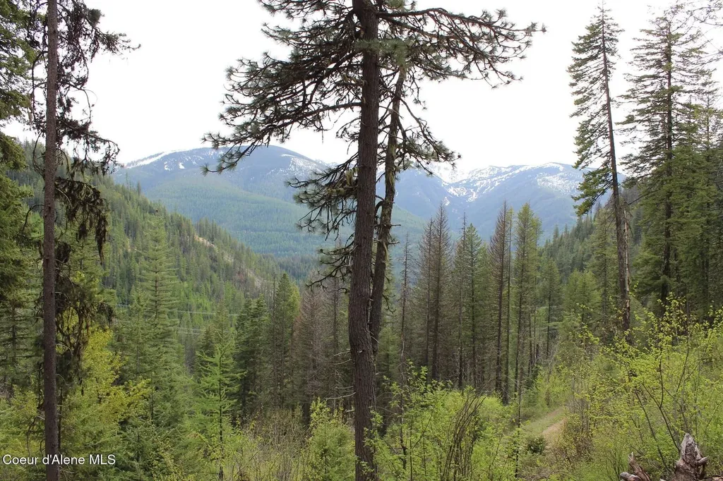 19A Daisy Gulch Road Mullan ID 83846