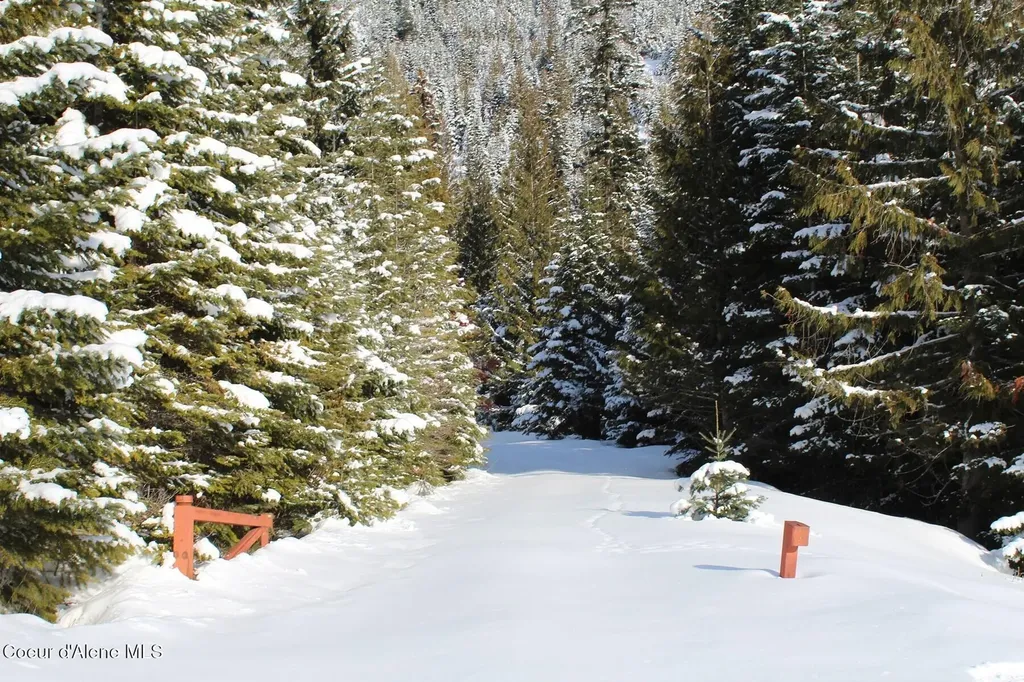 19A Daisy Gulch Road Mullan ID 83846