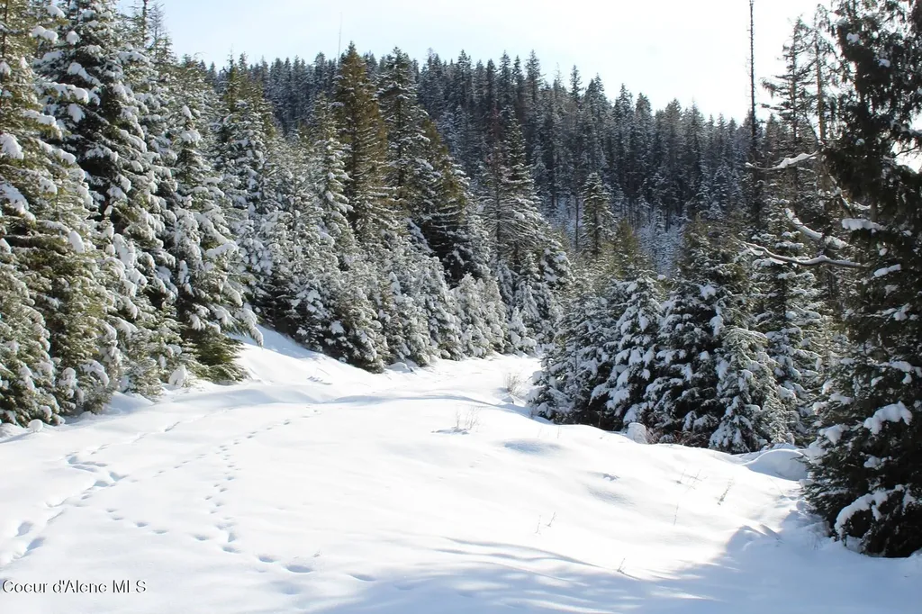 19A Daisy Gulch Road Mullan ID 83846