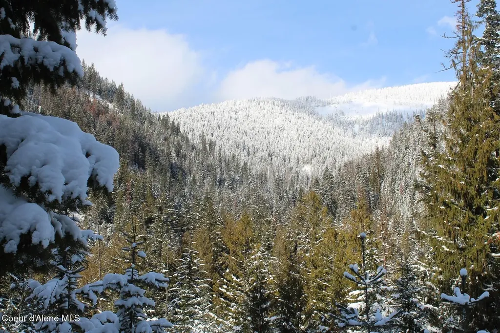 19A Daisy Gulch Road Mullan ID 83846