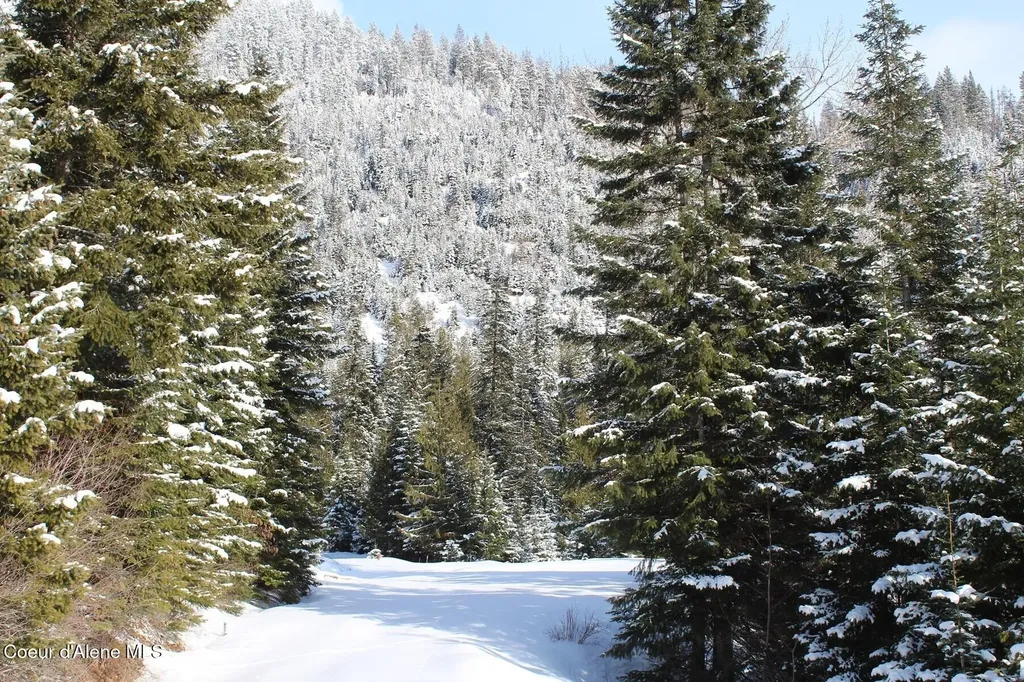 19A Daisy Gulch Road Mullan ID 83846