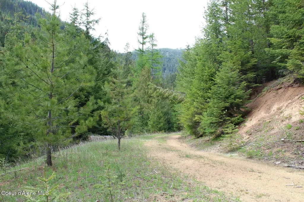 19A Daisy Gulch Road Mullan ID 83846