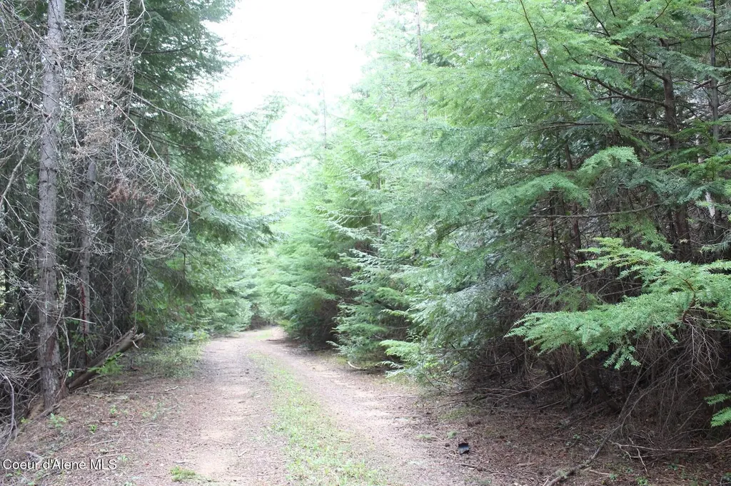 19A Daisy Gulch Road Mullan ID 83846
