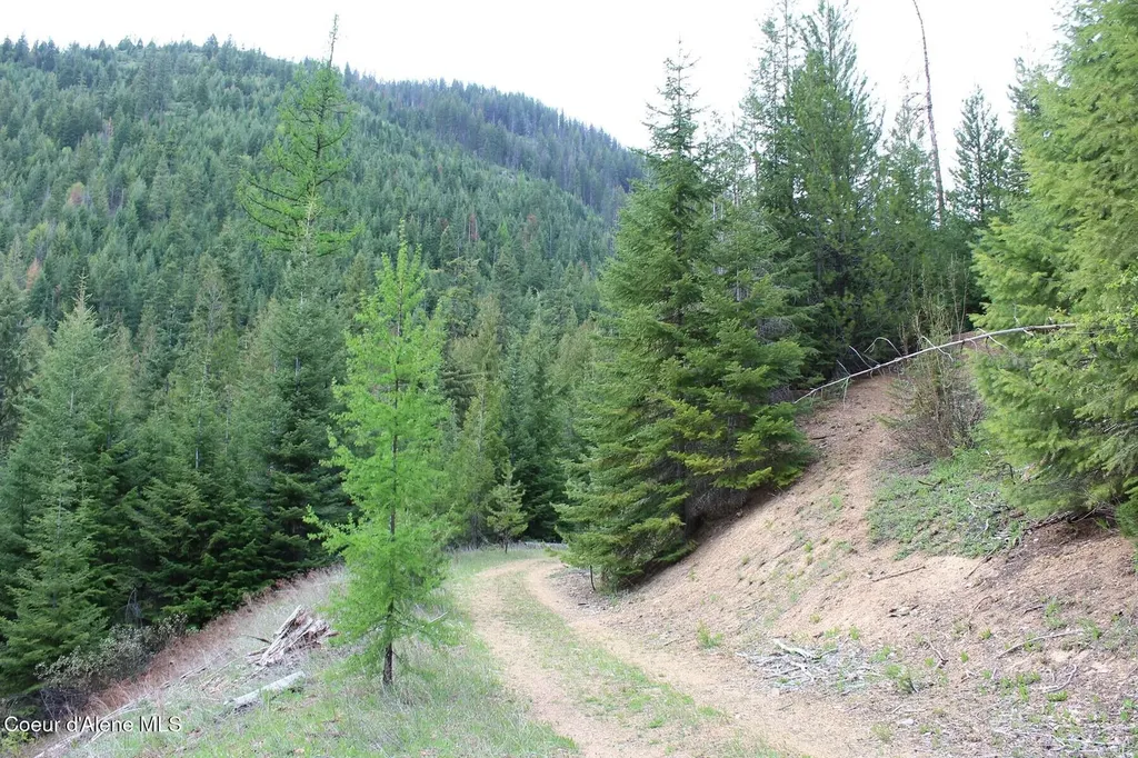19A Daisy Gulch Road Mullan ID 83846