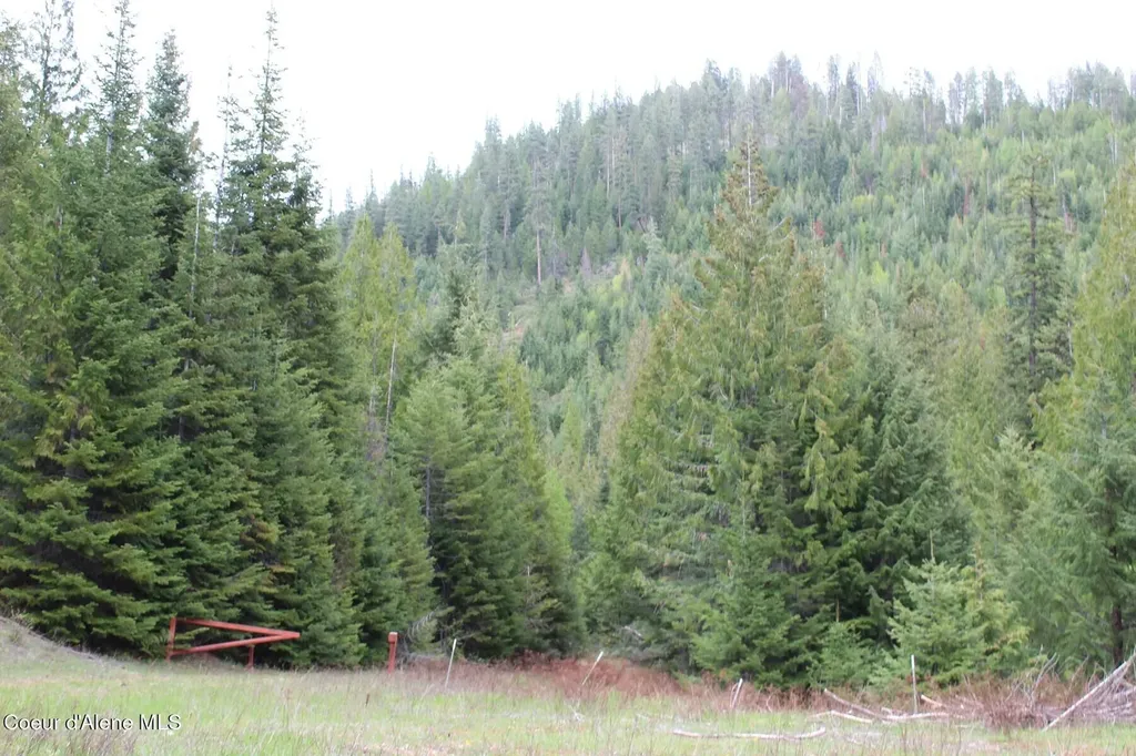 19A Daisy Gulch Road Mullan ID 83846