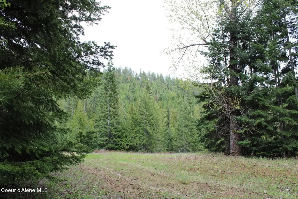 19A Daisy Gulch Road Mullan ID 83846