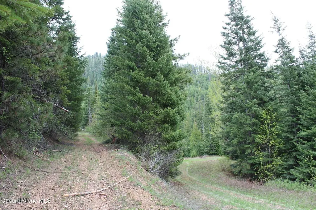 19A Daisy Gulch Road Mullan ID 83846