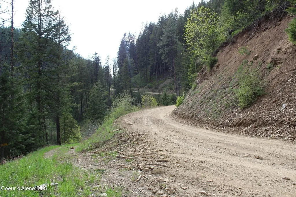 19A Daisy Gulch Road Mullan ID 83846