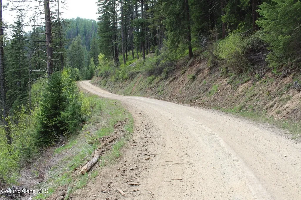 19A Daisy Gulch Road Mullan ID 83846