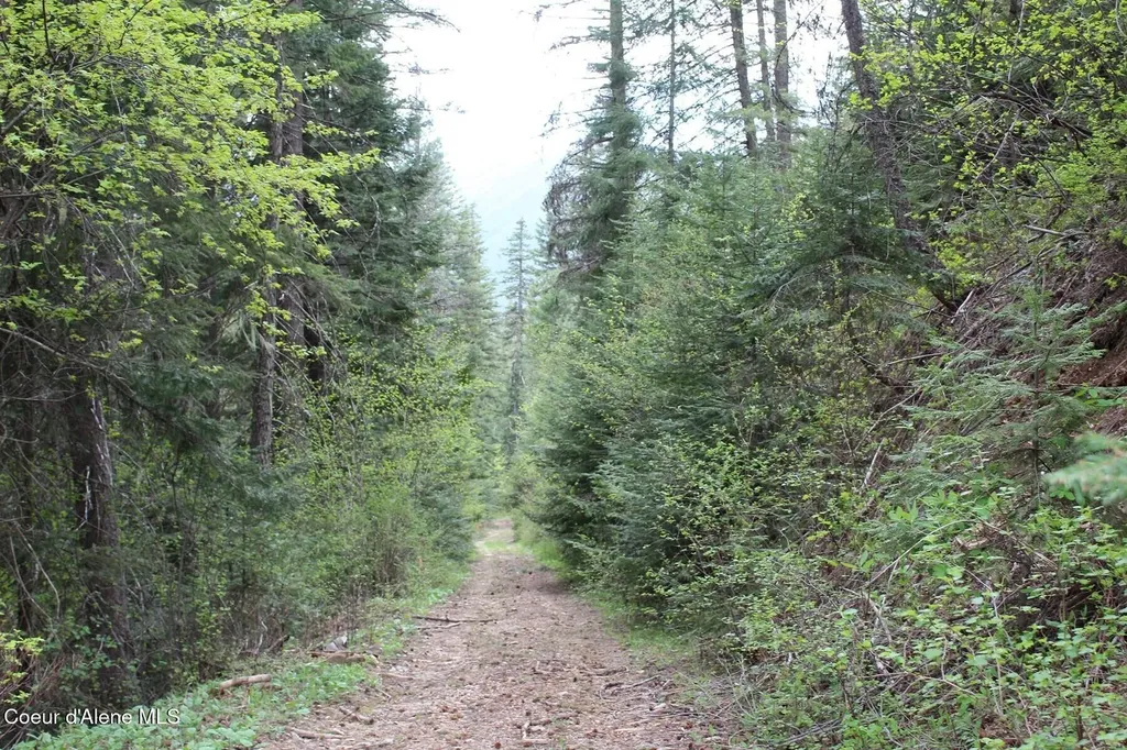 19A Daisy Gulch Road Mullan ID 83846
