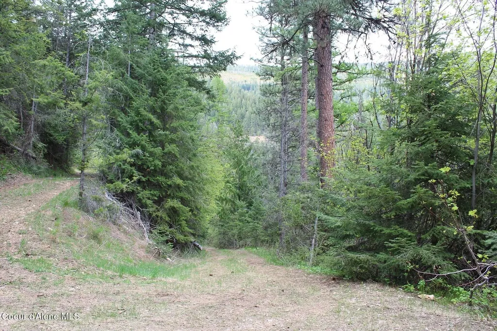 19A Daisy Gulch Road Mullan ID 83846