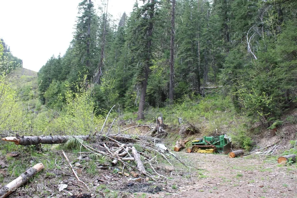 19A Daisy Gulch Road Mullan ID 83846