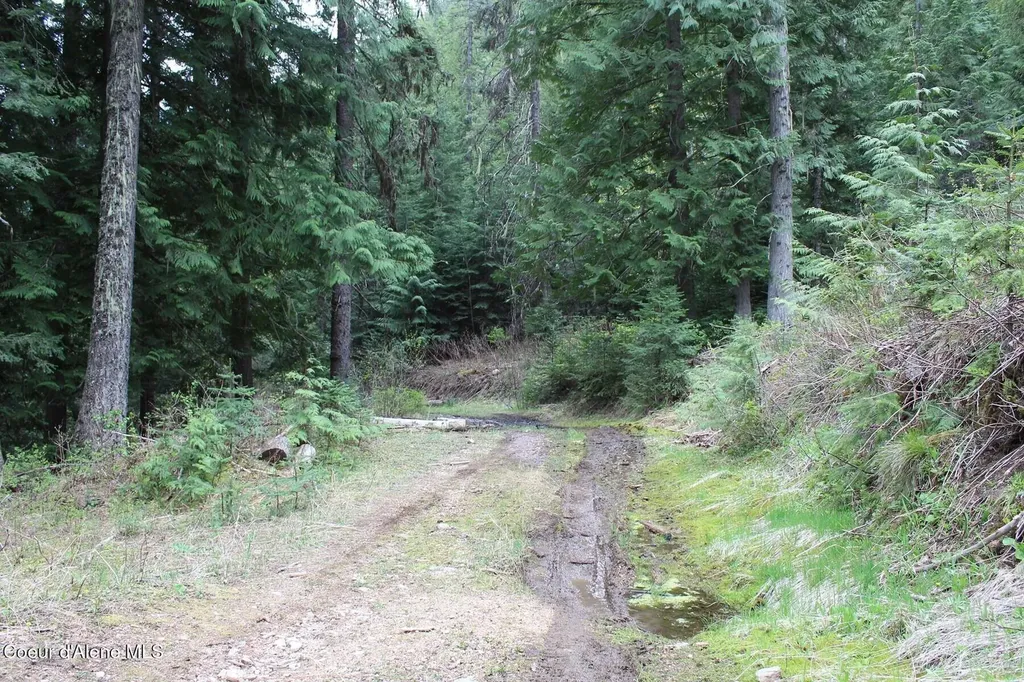 19A Daisy Gulch Road Mullan ID 83846