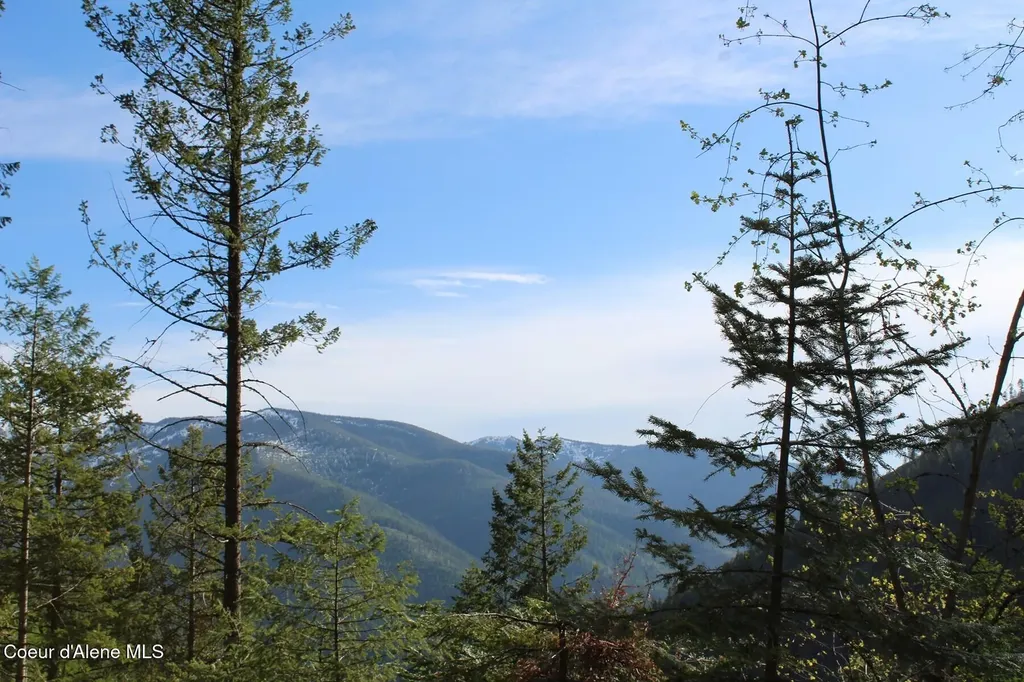 19A Daisy Gulch Road Mullan ID 83846
