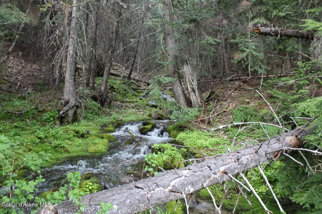 19A Daisy Gulch Road Mullan ID 83846