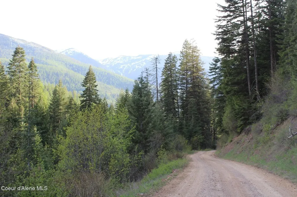 19A Daisy Gulch Road Mullan ID 83846