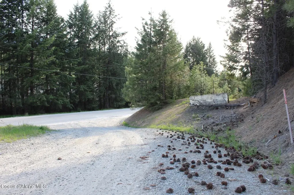 19A Daisy Gulch Road Mullan ID 83846