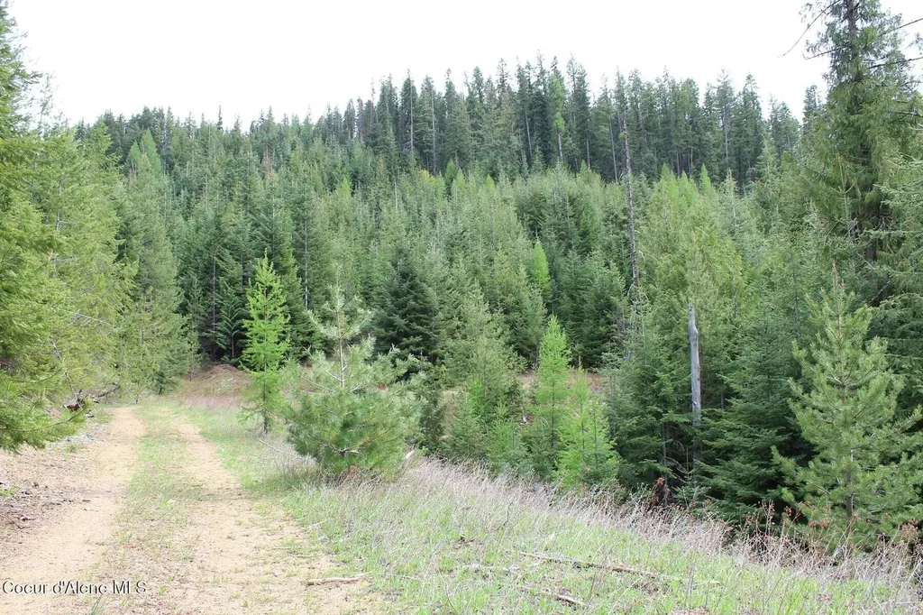 19A Daisy Gulch Road Mullan ID 83846