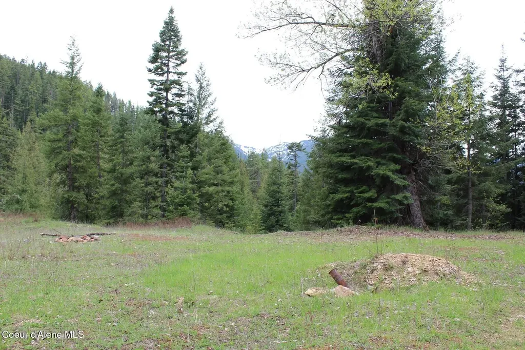 19A Daisy Gulch Road Mullan ID 83846