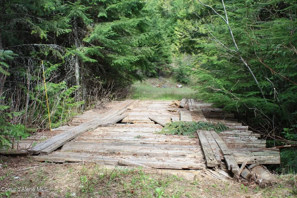 19A Daisy Gulch Road Mullan ID 83846