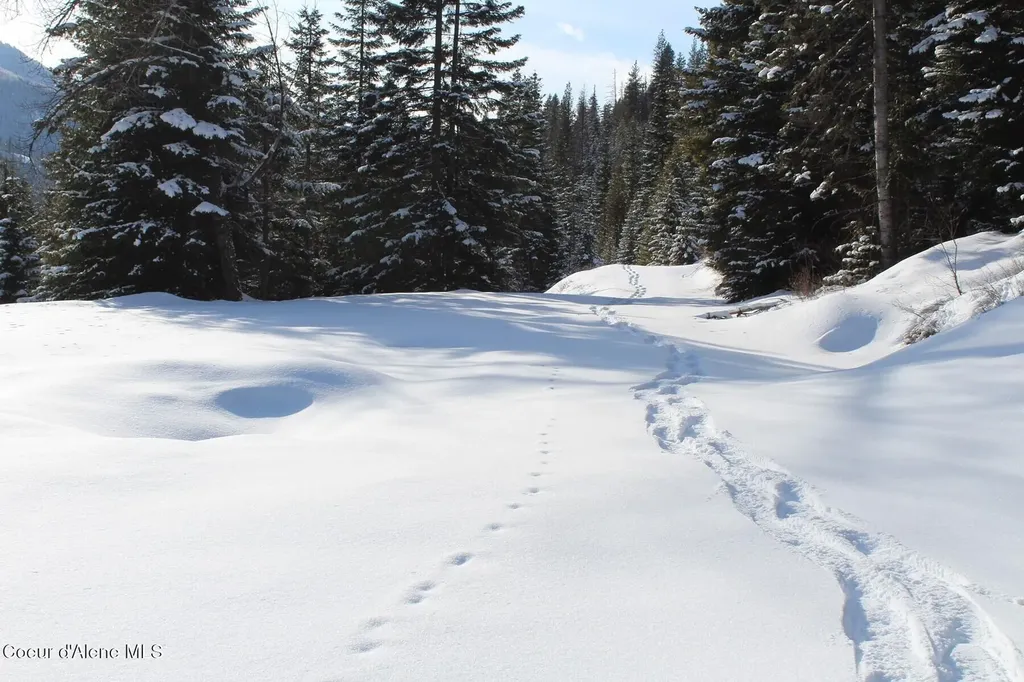 19A Daisy Gulch Road Mullan ID 83846