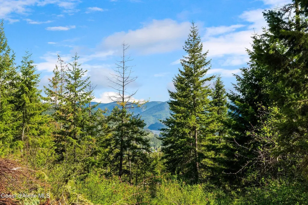 Nka Majestic Mountain Road Clark Fork ID 83811
