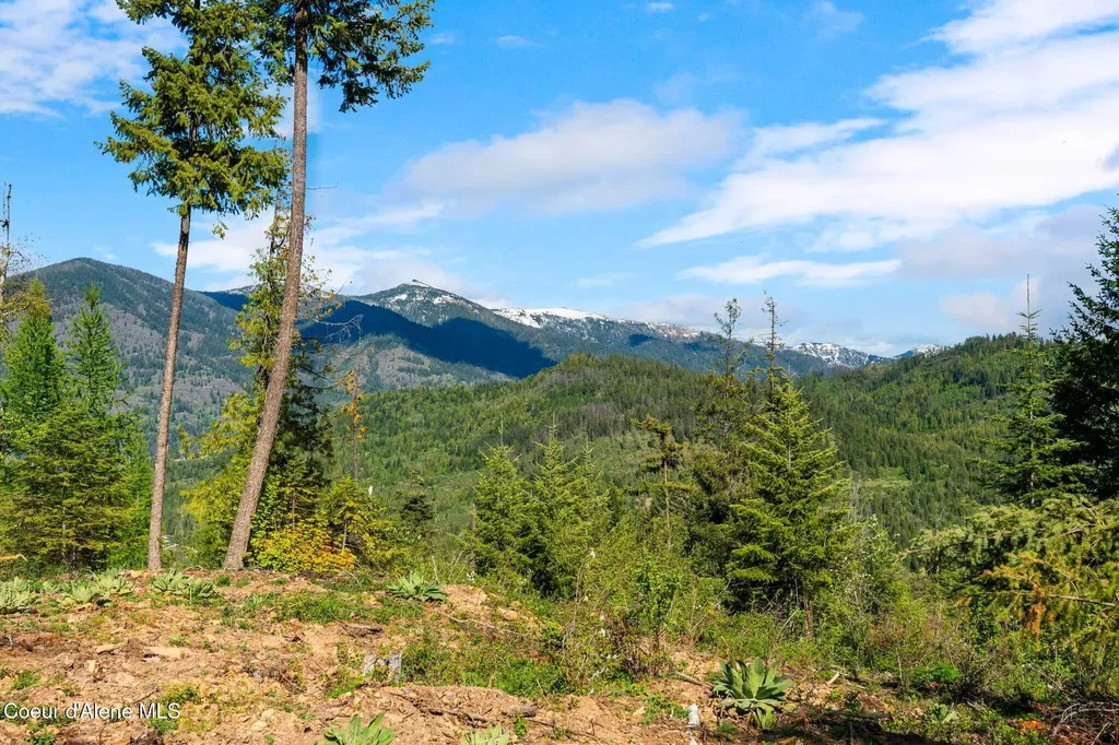 Nka Majestic Mountain Road Clark Fork ID 83811