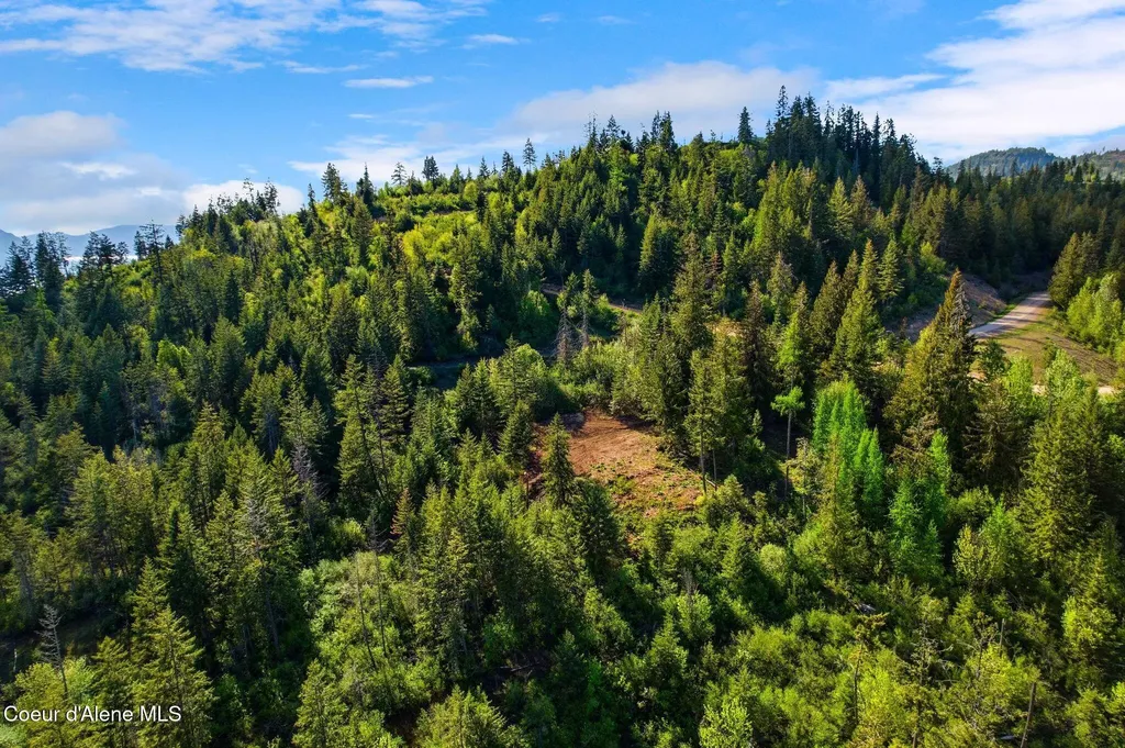 Nka Majestic Mountain Road Clark Fork ID 83811