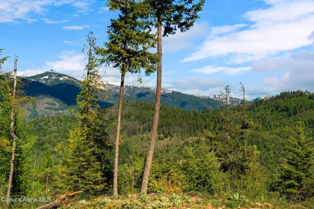 Nka Majestic Mountain Road Clark Fork ID 83811