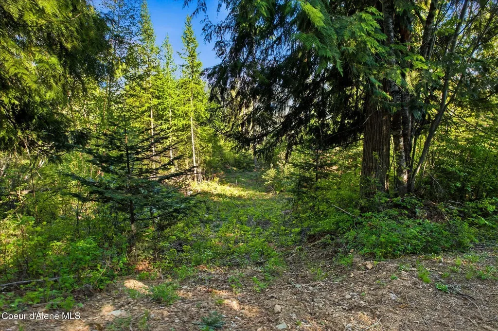 Nka Majestic Mountain Road Clark Fork ID 83811