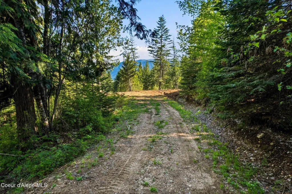 Nka Majestic Mountain Road Clark Fork ID 83811