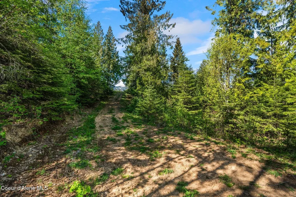 Nka Majestic Mountain Road Clark Fork ID 83811