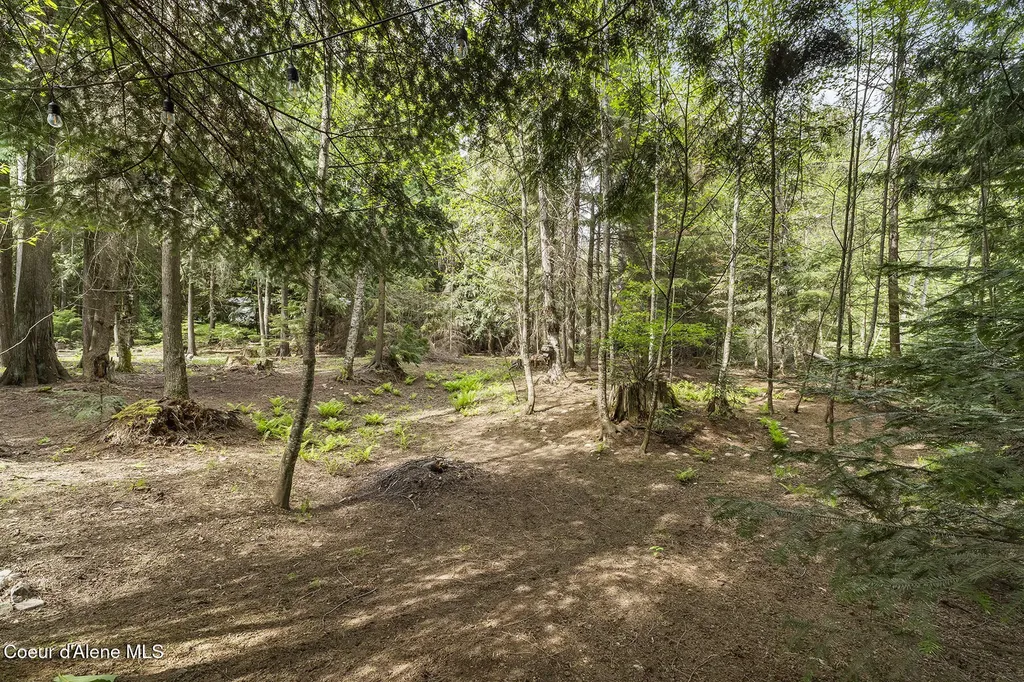 84 Big Burl Road Sagle ID 83860